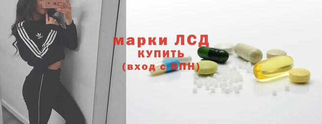 mdpv Вяземский