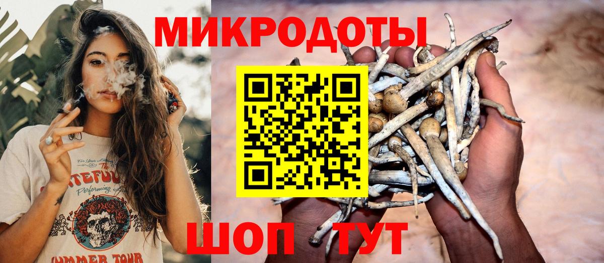 Карталы  Псилоцибиновые грибы Psilocybine cubensis  Вход с VPN 